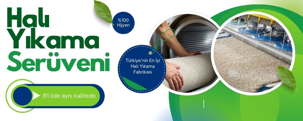 ovmis hali yikama